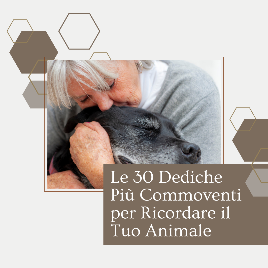 Le 30 Dediche Più Commoventi per Ricordare il Tuo Animale