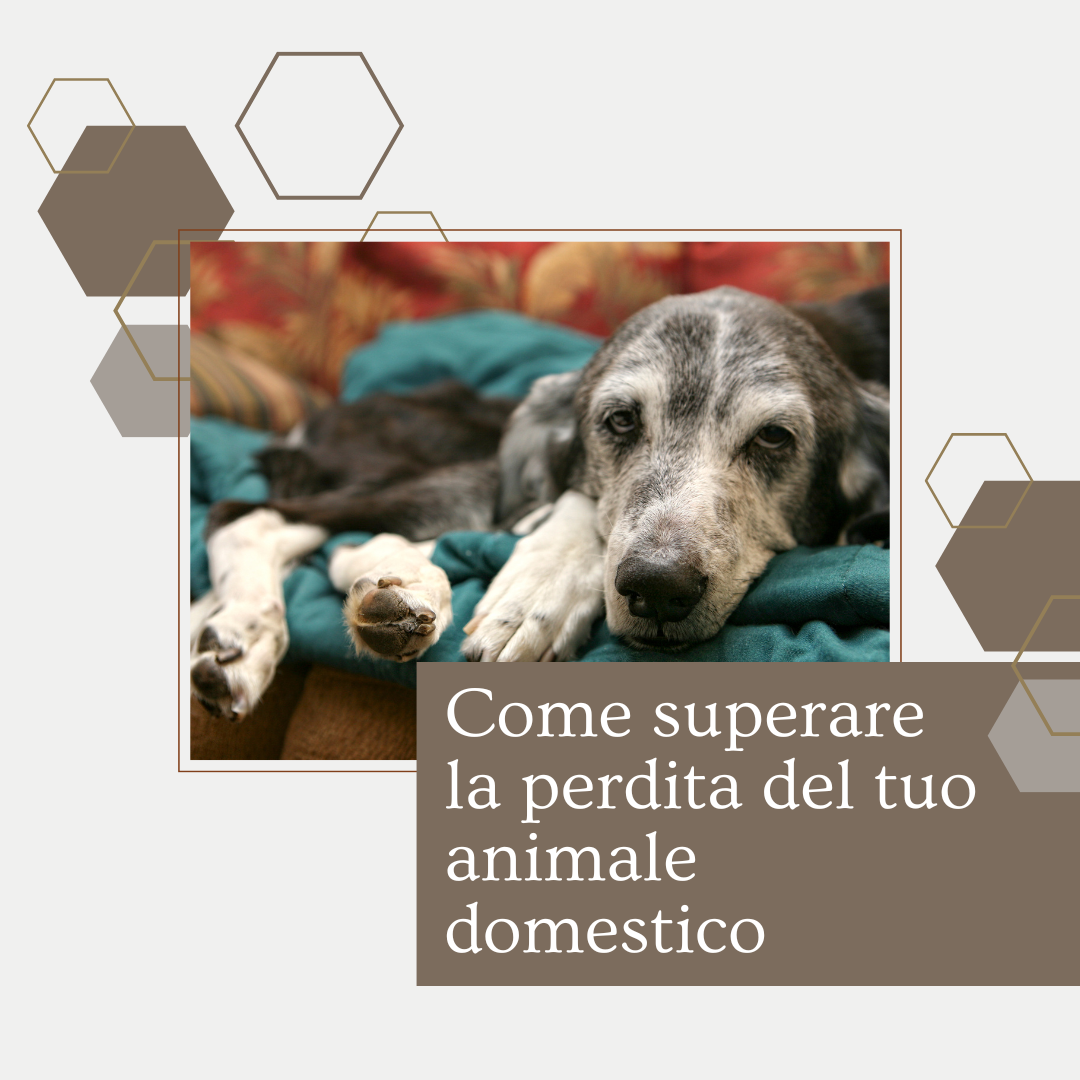 Come superare la perdita del tuo animale domestico