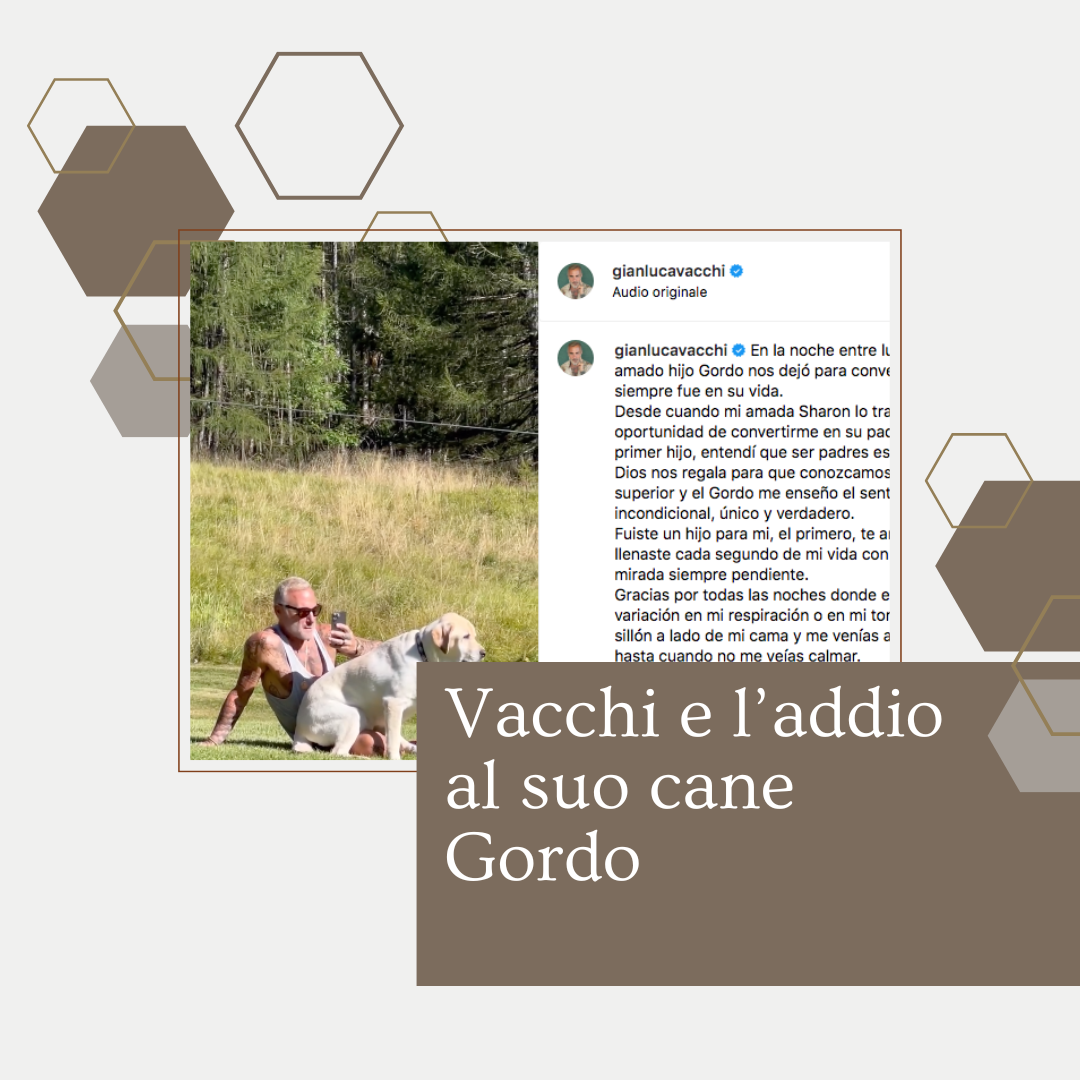 Vacchi e l’addio al suo cane Gordo