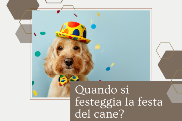 festa del cane