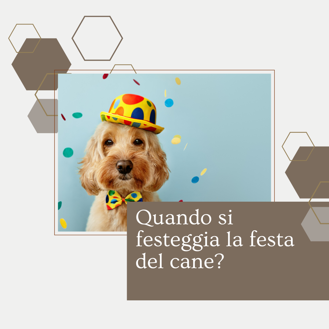 festa del cane