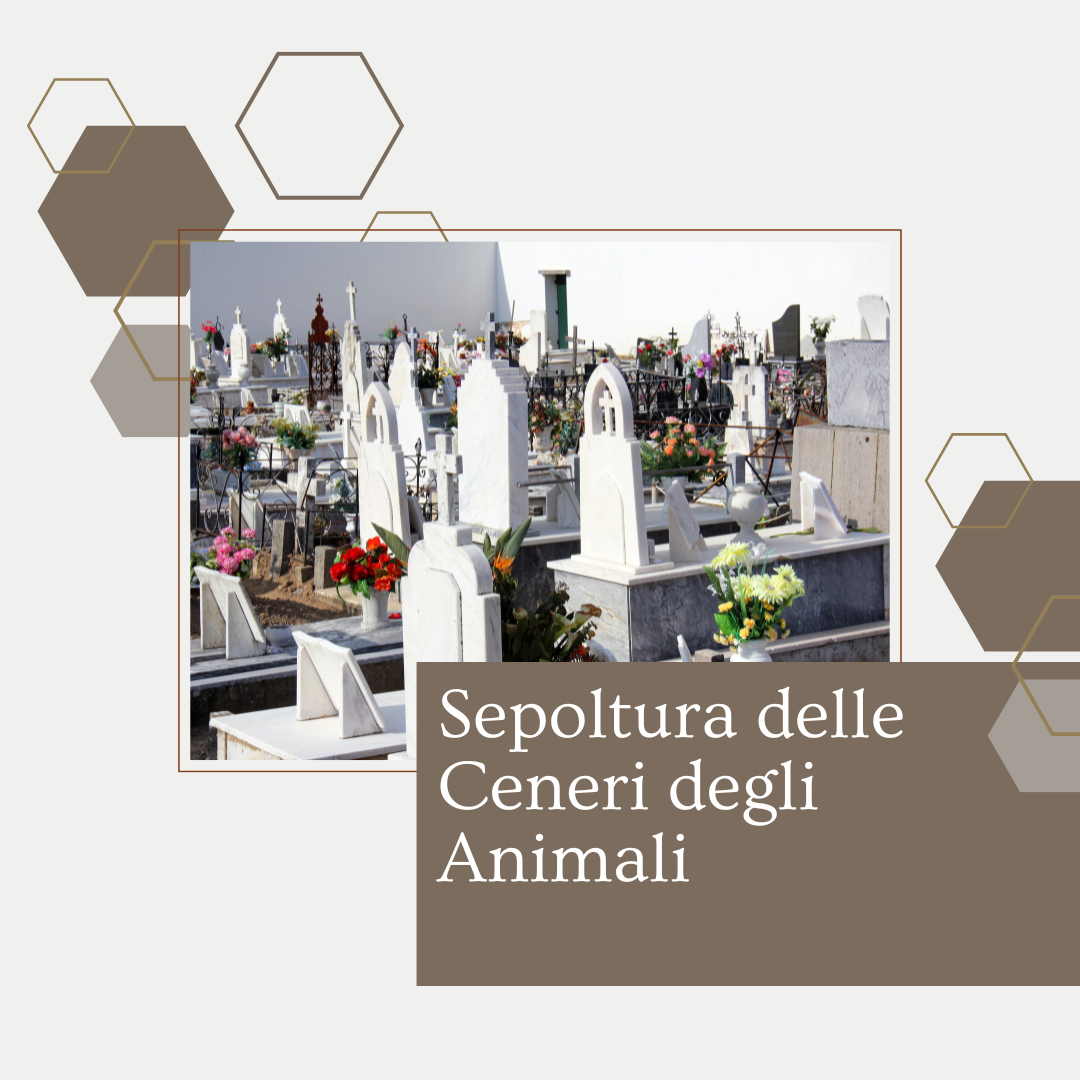 Sepoltura delle Ceneri degli Animali