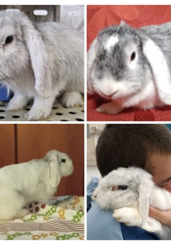 inbound5499269851069942196 inbound5499269851069942196